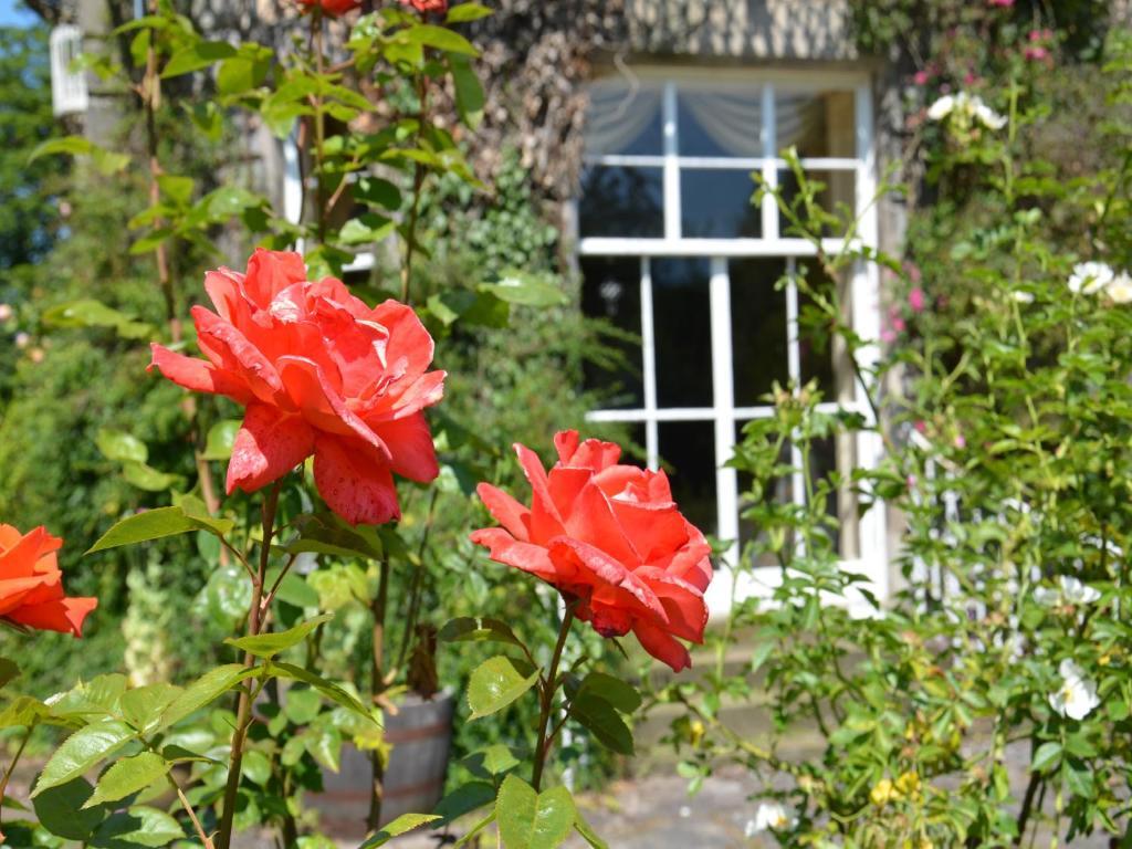 Powis House B&B Stirling Exterior photo